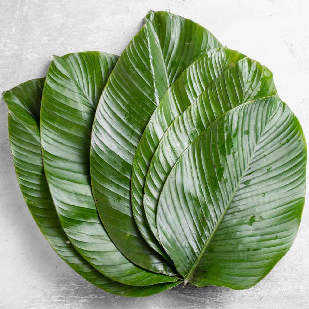 Small Size Moimoi Leaves (13-15 Pcs)